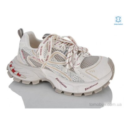 Кросівки Teetspace-Trasta-Egga WDP2075-118